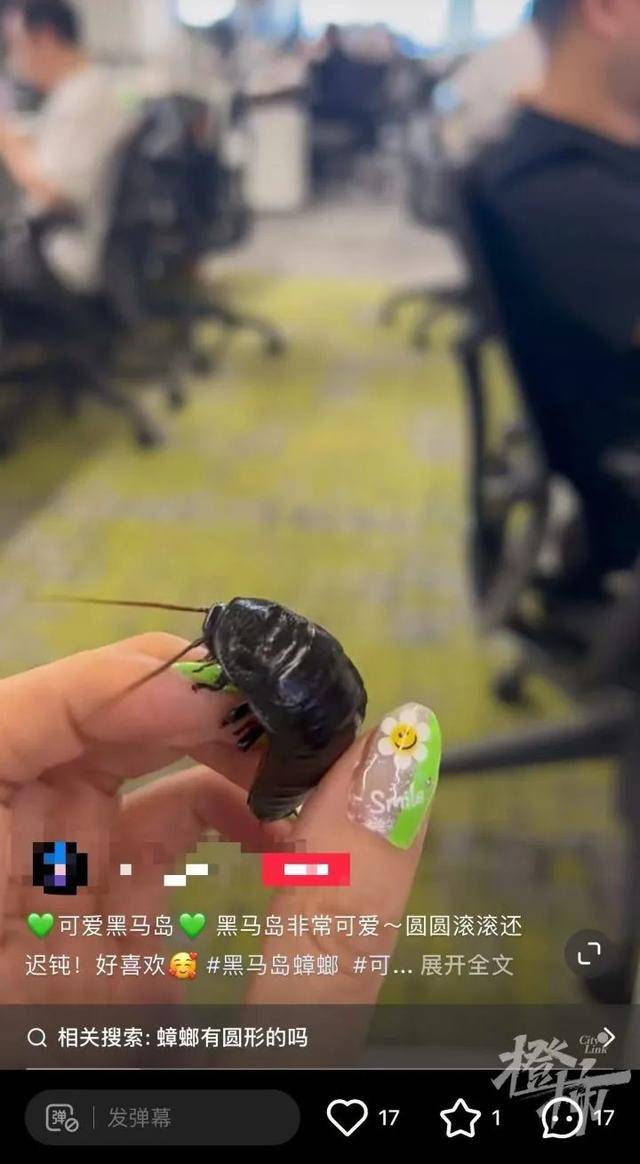 皇冠信用网庄家_门口惊现“蟑螂”皇冠信用网庄家,杭州一住户用杀虫剂一喷,邻居怒了:我的螳螂……