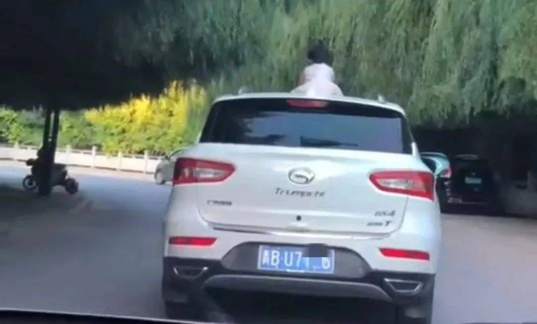 如何代理皇冠信用網_惊险如何代理皇冠信用網！青海一女童竟端坐在行驶中的轿车车顶！