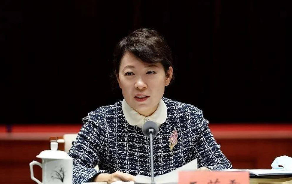 AC米兰vs克雷莫内塞
_“换装主席”王莉霞的堕落：从光鲜人设到腐败深渊