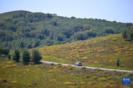 比沙奴 vs 利沃诺_初秋的乌兰布统草原