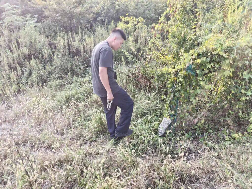 皇冠信用網在线注册
_浙江一姑娘以奶茶为记号皇冠信用網在线注册
，竟然在草丛里藏了11万现金！