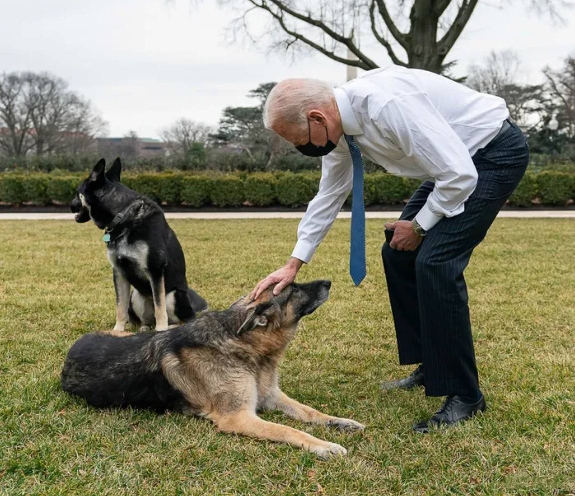 怎么注册皇冠信用代理
_新加坡劝中国放弃自给自足怎么注册皇冠信用代理
，称美国还有绝招！这个印度裔总统，对华不怀好意