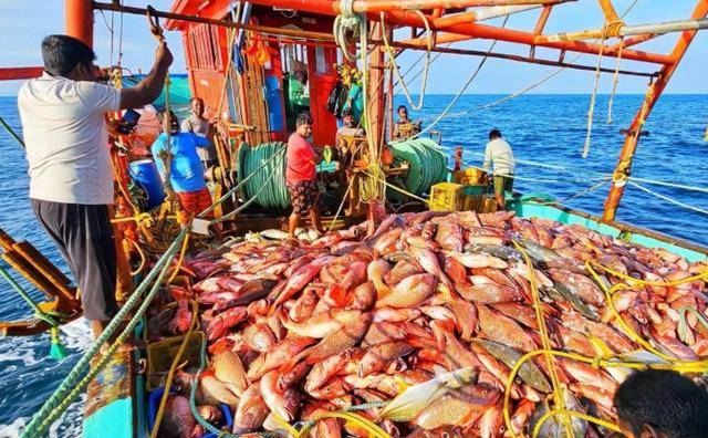 皇冠信用盘申请条件
_中方一脚将日本踢出局皇冠信用盘申请条件
，印度狂喜接盘！先问问14亿中国人答不答应