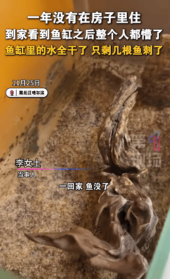 皇冠信用網代理
_哈尔滨女子离家一年回家发现“活鱼变鱼刺”