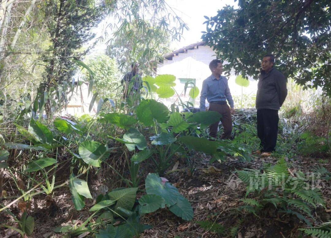 皇冠信用登2代理
_柳州钓鱼阿叔竹林挖蚯蚓皇冠信用登2代理
，竟挖出千年前的“大宝贝”！