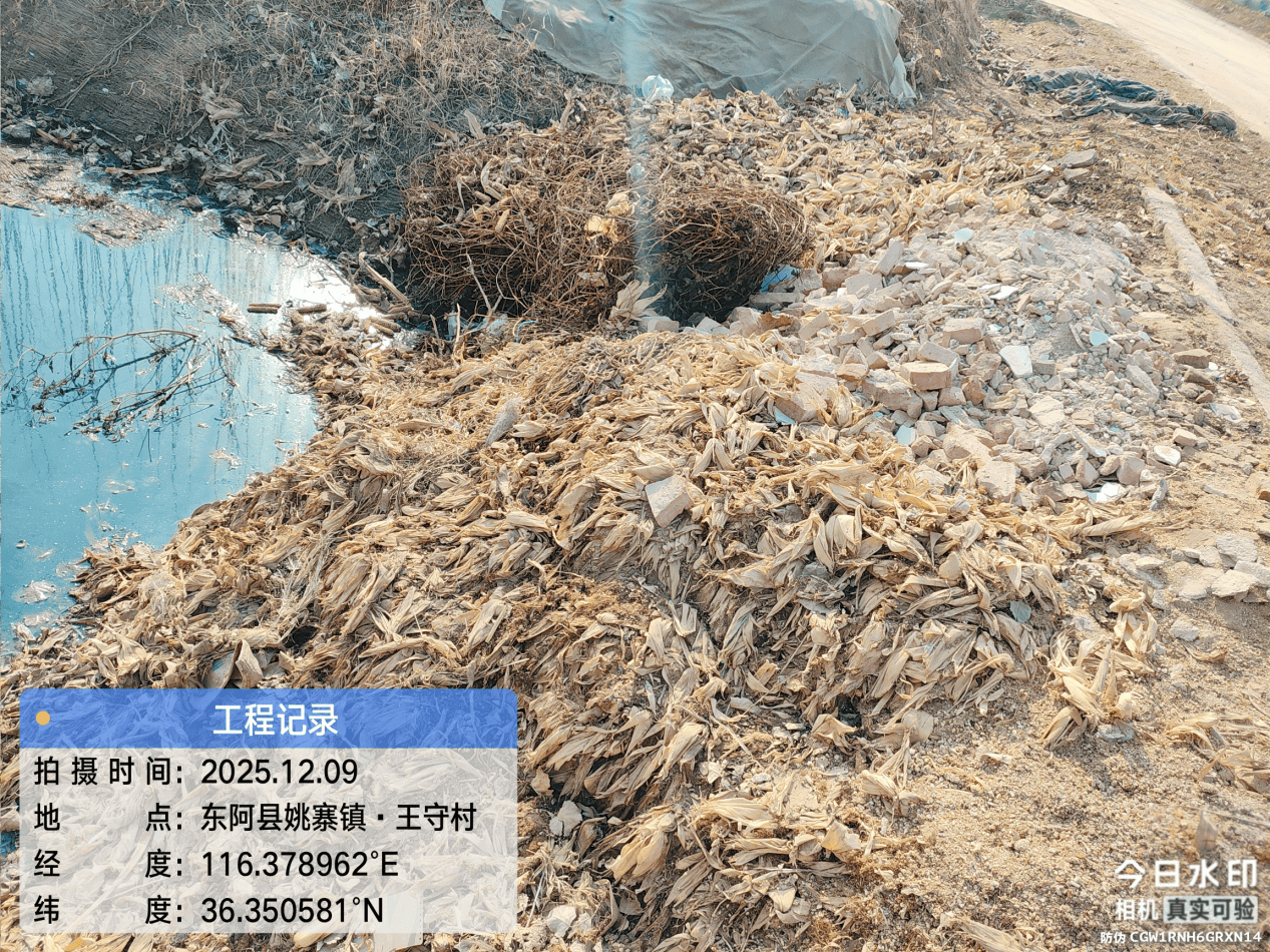 皇冠信用網注册开户
_东阿县:多个村庄“垃圾围村” 县农村农业局回复称 已全部整治清理