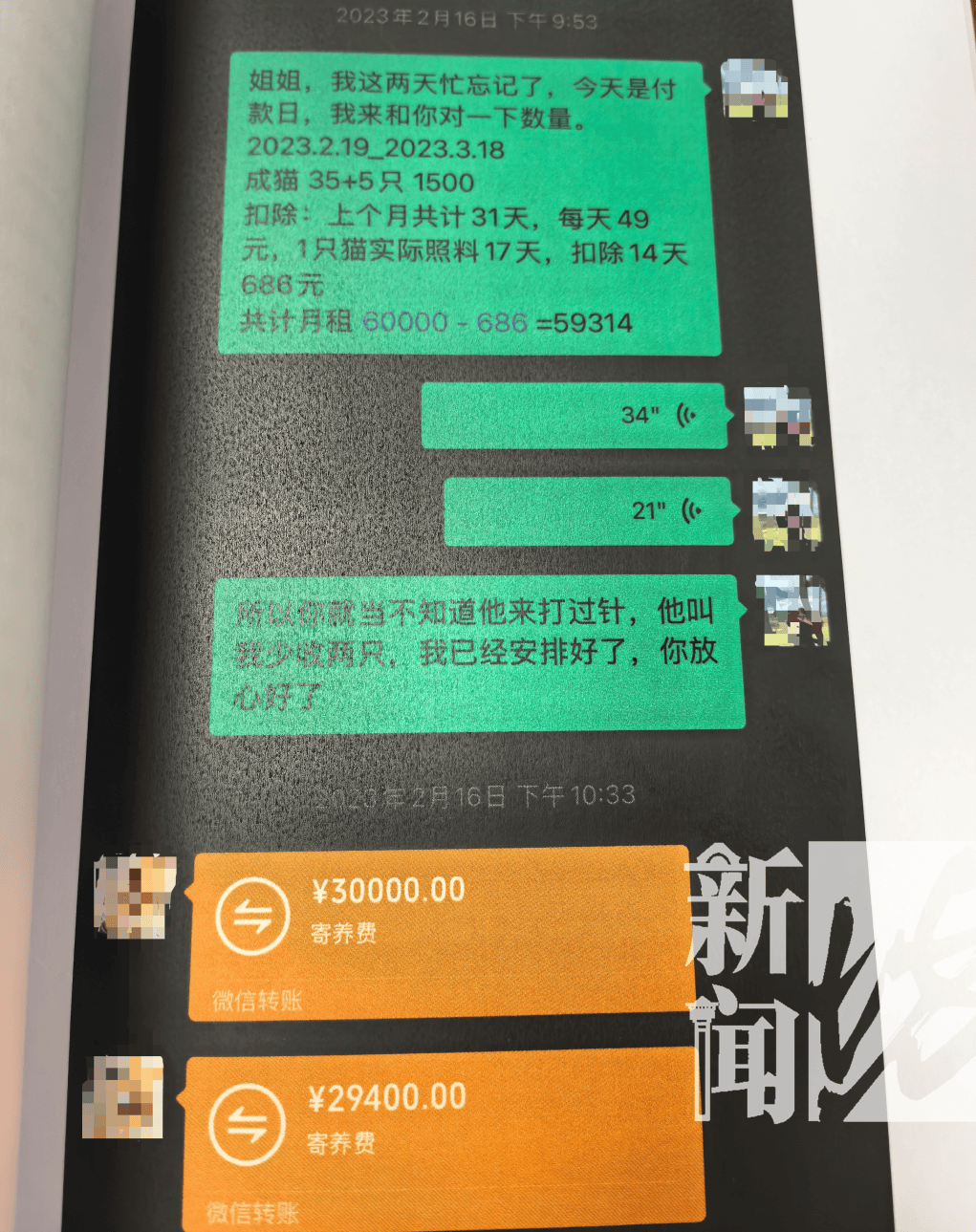皇冠2登录welcome_上海一女子掏空公司3500万！养了上百只猫皇冠2登录welcome，还痴迷于“云祭祀”……