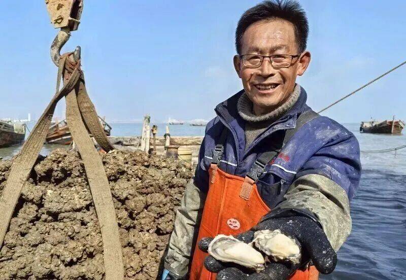 皇冠信用登2代理_批发价2元一斤皇冠信用登2代理,青岛这种海鲜卖爆了,1600万斤已上岸……