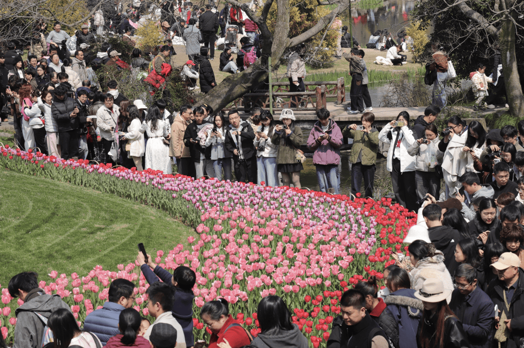 皇冠信用网代理登1
_飙到20℃!杭州人注意皇冠信用网代理登1
,大反转来了!时间已确定......