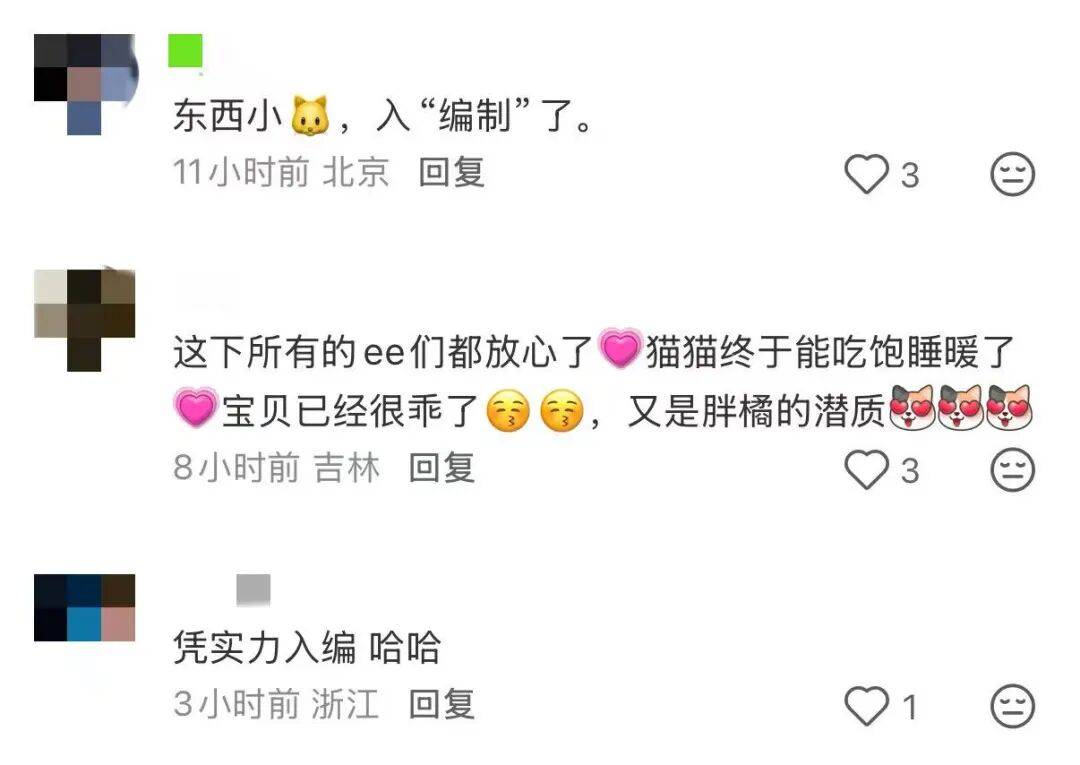 皇冠信用网开号_降温前被“收编”皇冠信用网开号,天安门陪武警站岗执勤的小橘猫或将正式入编“宫猫”,故宫博物院工作人员:正在医院检查,后续会优先找领养